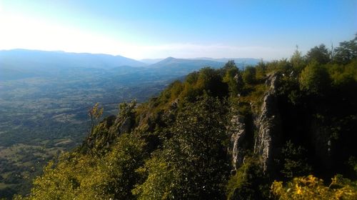 Scenic view of forest and mountains against sky