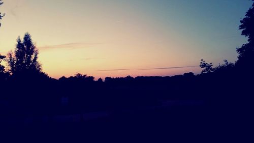 Silhouette of trees at sunset