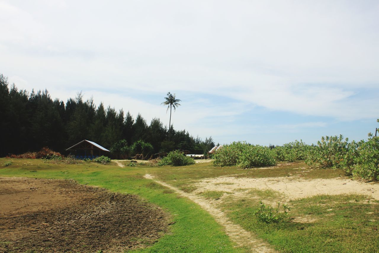 DIRT ROAD AMIDST TREES AND PLANTS AGAINST SKY