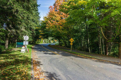 Fall colors on a road near seahurst park in burien, washington.