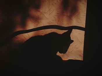 shadow