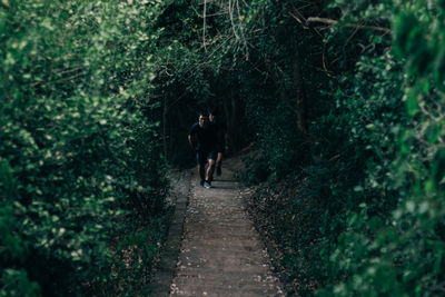 People walking on footpath amidst trees in forest