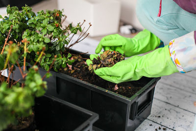 Man working on potted plant