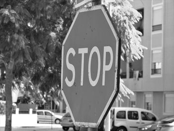 Close-up of text on tree