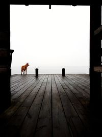 View of wooden floor