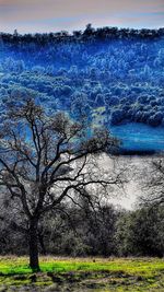 Scenic view of landscape against blue sky