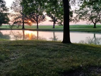 Scenic view of lake by trees on field against sky