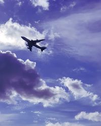 Low angle view of bird flying in sky