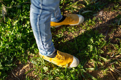 Low section of man standing on land