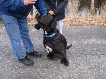 Low section of man standing on dog