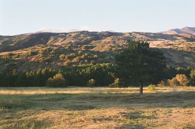 Scenic view of landscape against clear sky