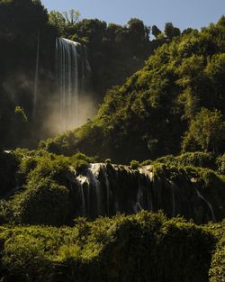 Scenic view of waterfall in forest