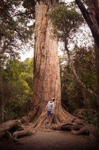 Full length of man standing by majestic tree in forest