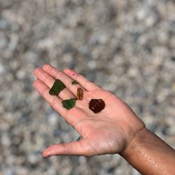 High angle view of hand holding stones at beach