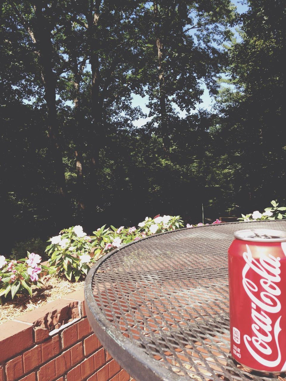 red, tree, text, communication, western script, day, outdoors, growth, sign, no people, absence, nature, sunlight, empty, metal, information sign, safety, tranquility, protection, park - man made space