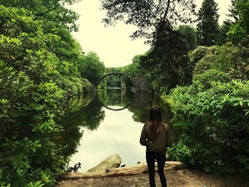 Rear view of woman standing amidst trees against sky