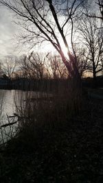 Bare trees by lake against sky during sunset