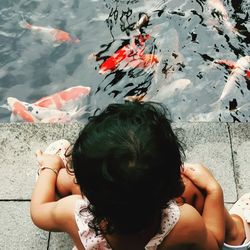 High angle view of fish swimming in sea