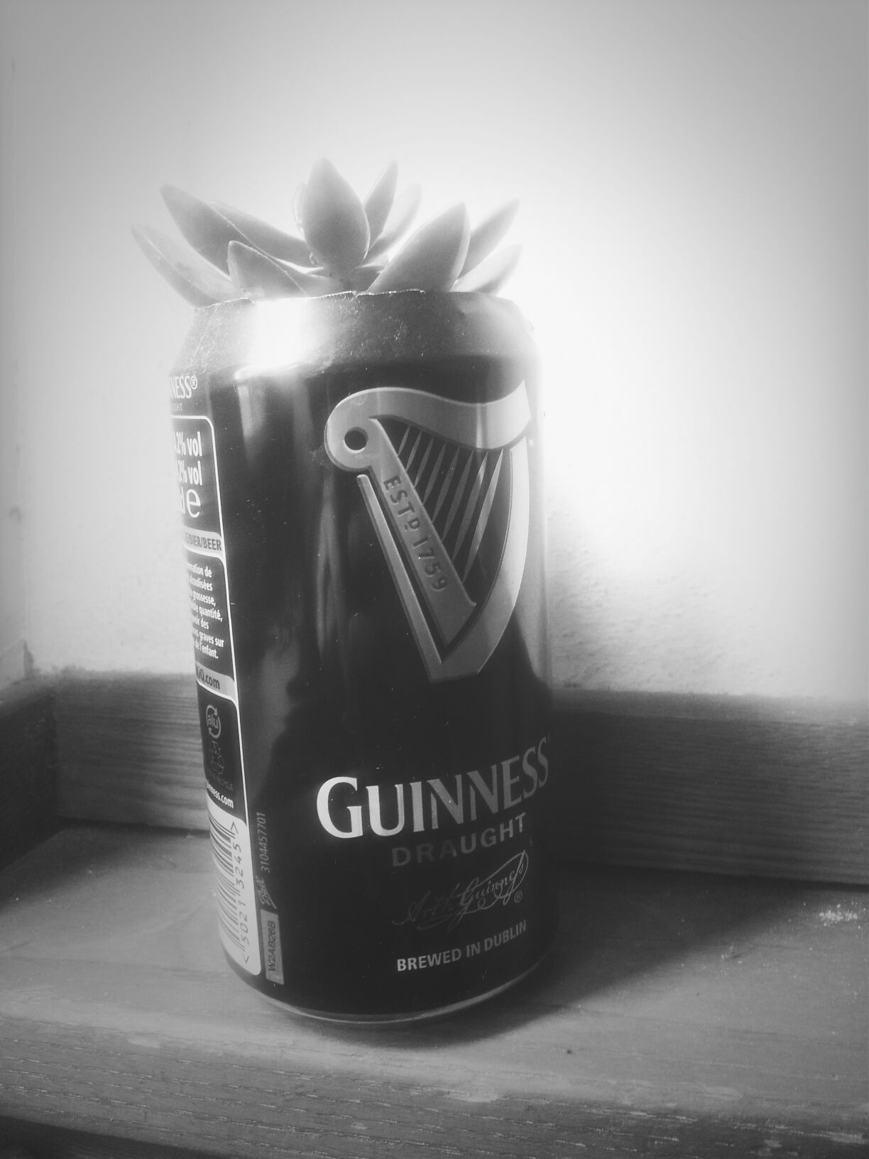 Guinness