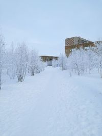 Houses and trees against sky during winter