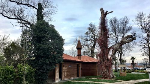 Trees and building against sky