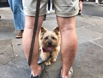 Low section of man standing on footpath