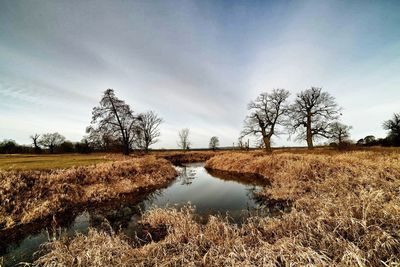 Bare trees on field by lake against sky