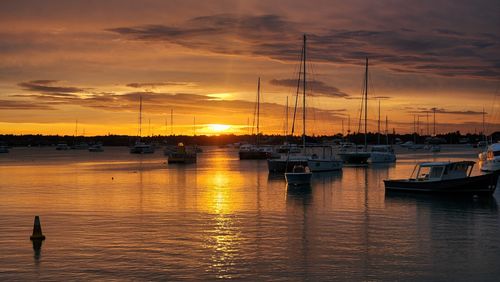 Boats moored at harbor during sunset