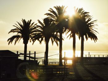 Silhouette of palm trees at sunset