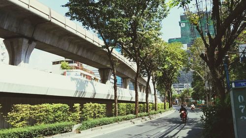 People walking on road