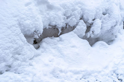 Close-up of snow covered field