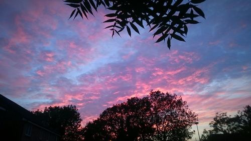 Low angle view of silhouette trees against sky at sunset