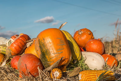 Close-up of pumpkins in market stall
