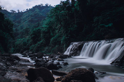 Scenic view of waterfall in forest