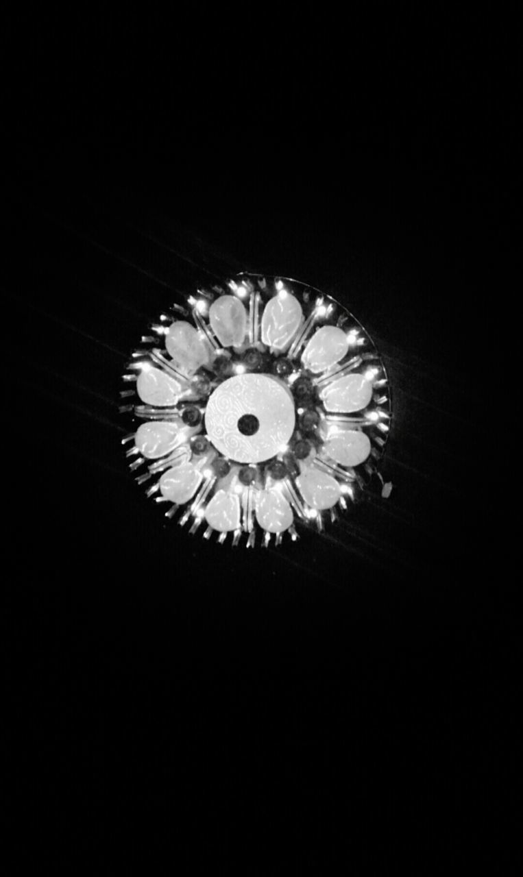 no people, lighting equipment, studio shot, low angle view, illuminated, flower, fragility, close-up, black background, nature, indoors, flower head, day