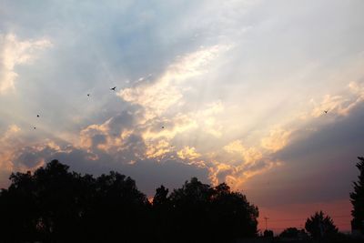 Low angle view of silhouette trees against sky during sunset