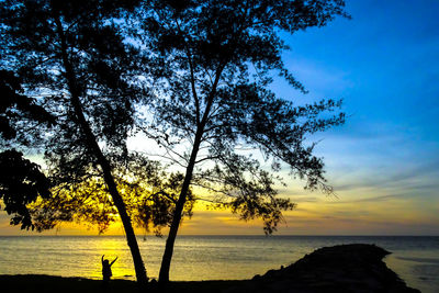 Silhouette tree by sea against sky during sunset