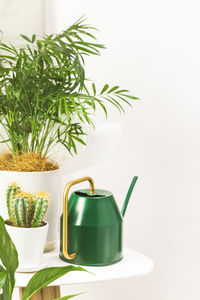 Potted house plants with watering can on white chair