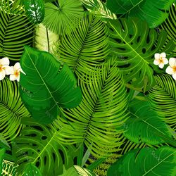 Close-up of green leaves on plant