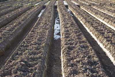 High angle view of tire tracks on field