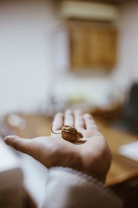 Close-up of person holding winter cherry