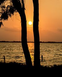 Silhouette tree by sea against sunset sky
