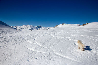 Scenic view of snowcapped mountains against clear blue sky