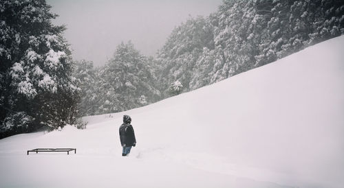 Rear view of person on snow covered mountain