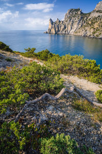 Scenic view of sea against sky