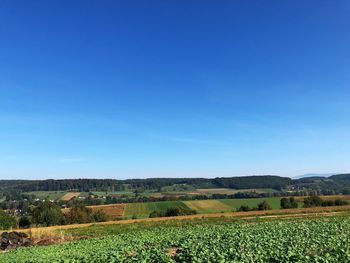 Scenic view of agricultural field against clear blue sky