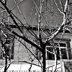 Low angle view of bare trees against the sky