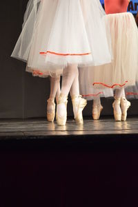 Low section of ballet dancers dancing on stage