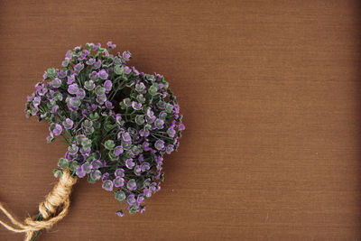 High angle view of purple flowering plant on table