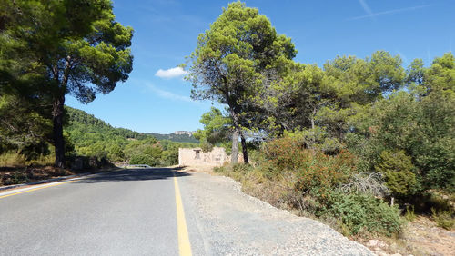 Road amidst trees against sky